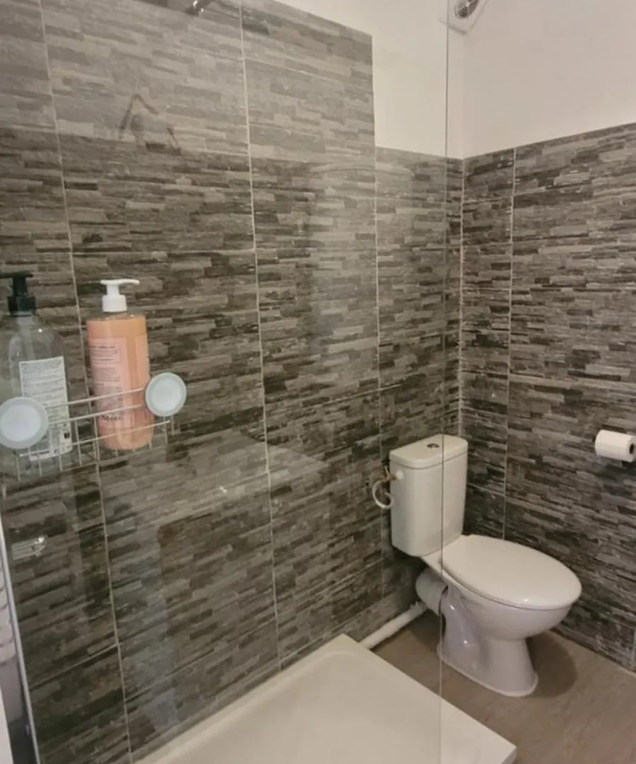 Le Nid De La Colombe - Hypercentre Apartment Toulouse 0*,  France