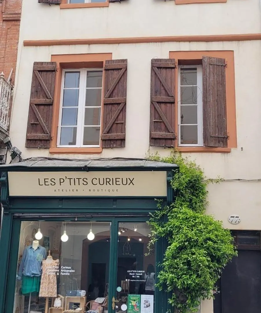 Le Nid De La Colombe - Hypercentre Apartment Toulouse France